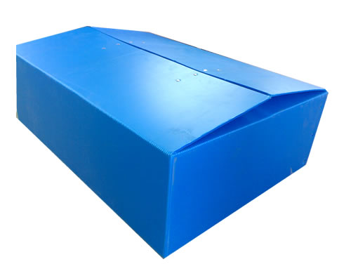 1525997176309593.jpg 32.jpg