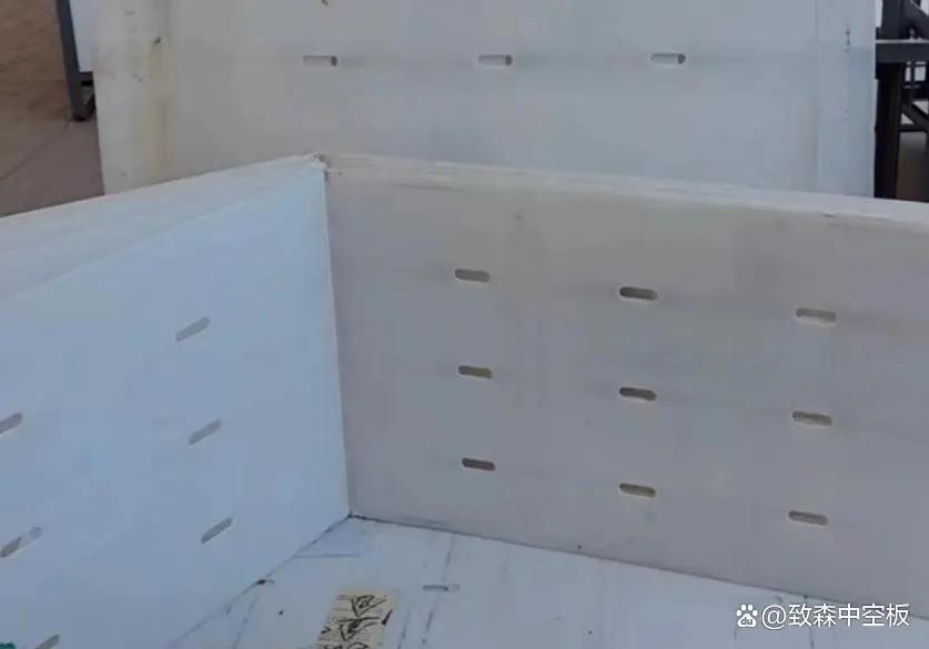 1716944935656300.jpg